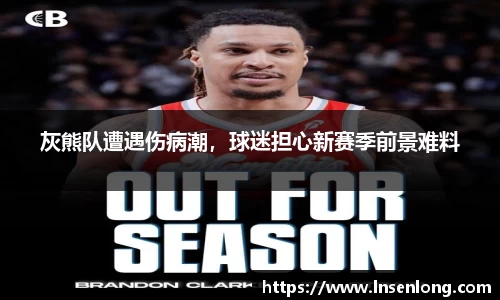 灰熊队遭遇伤病潮，球迷担心新赛季前景难料